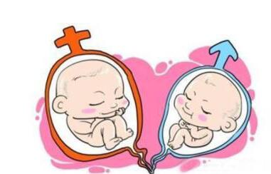 怀代生包成功借卵生子生殖中心